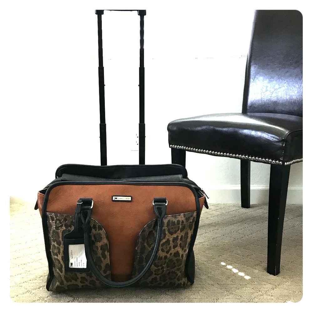 Rolling suitcase business bag